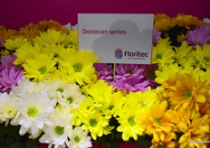 De Donovan is hier een mooi voorbeeld van en is recentelijk geïntroduceerd.